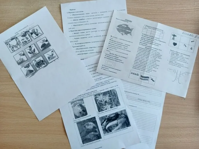 Bj2hfd5QUjzg-x9th8z1GWmNZV359o-5u3nczgoqSmlJKlG5DRxSwNNOxySvzZnZzcwnw6iHHHCg1CplVDeYdvRx