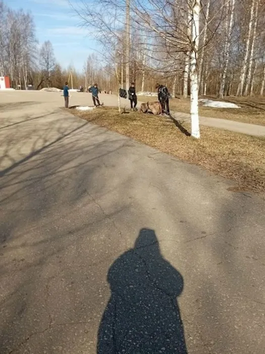 sPzhbj745EDv0FCIBarIyHGqTRwKq2TQsLnNNN27pK9PoRjipOlAEf4q6RWwp2V9PUCY1Wss5T2k6lwASiObK_ss