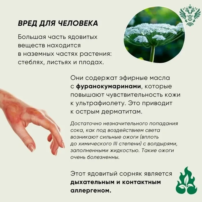 SGCvaVDSh1o39zAjog7TVkYydqGKXfMEUMEk2Vg4Fbzua4CsJXTnjjtCEqVd983zohssUhtIrpRtHFRj0R8aby8_