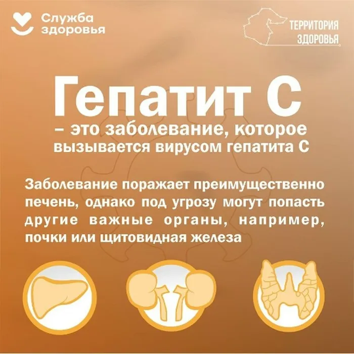 DNFYarcGwkHUsXjJdK6Noi77P5kwv9Qt1tR4TxQEQR8g7IRYiK8s5ELFB-bc9x9-2HwV-eieVY3eQn-VzqOtBhTV