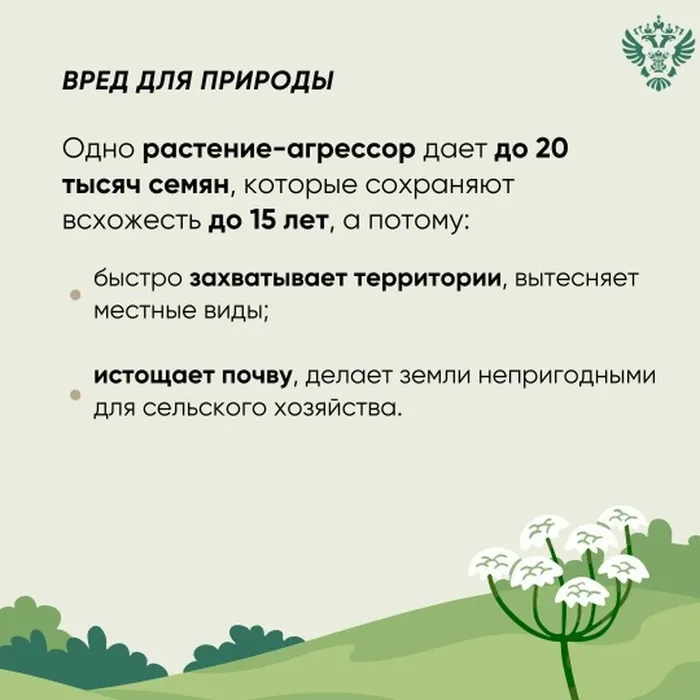 bnAHFm4UxNFPnIFZiij2My0w9teZmLrog9eGMVniI3tREiGAeYgsNrjUJU5eeZugc7tF7qkT0-Xp9KoA5UHMnC-O