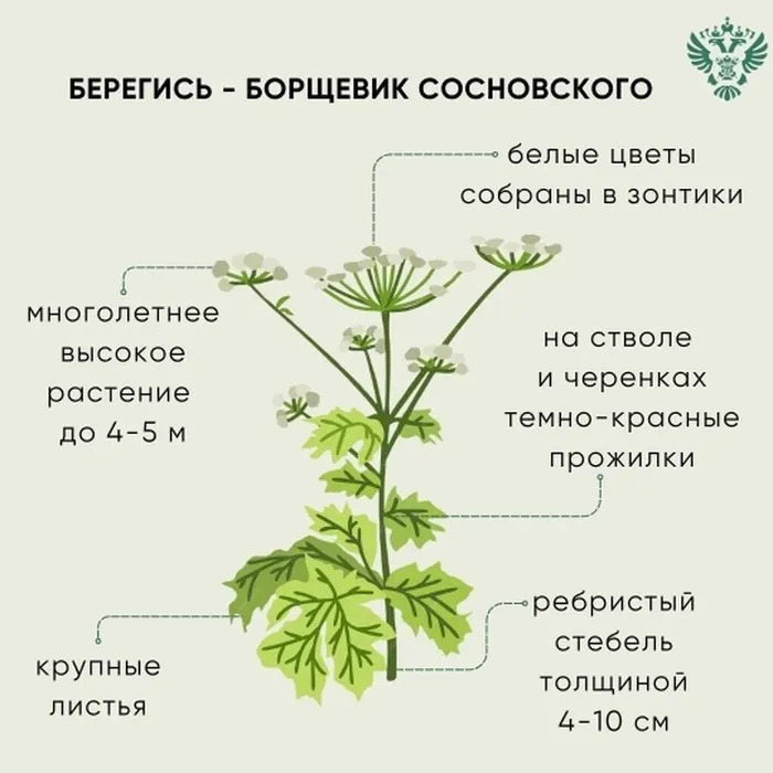 bLJDajdNV5v_fxD7xV3VRDL5TZPkLe60qPJxQKvrlGLaqPmUB-T9JHkCq4VkFH3cCNP63uK0n4ABp9qKVwskgyNM